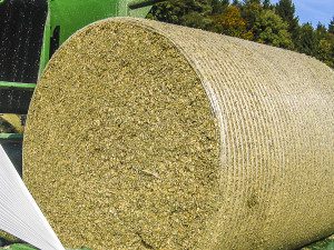 What can be baled with Orkel - The image shows an orkel maize bale.