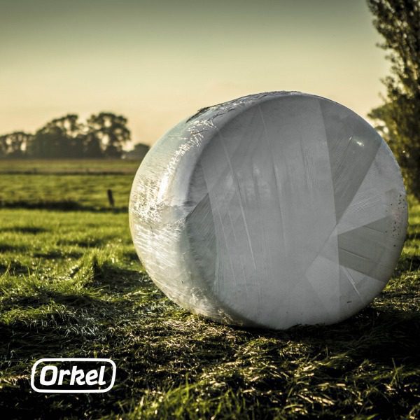 Lebensmittelverluste und -verschwendung begrenzen