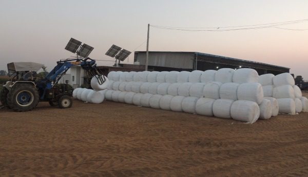 Traktor stapelt Rundballen