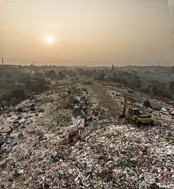 Lebensmittelverluste und -verschwendung begrenzen