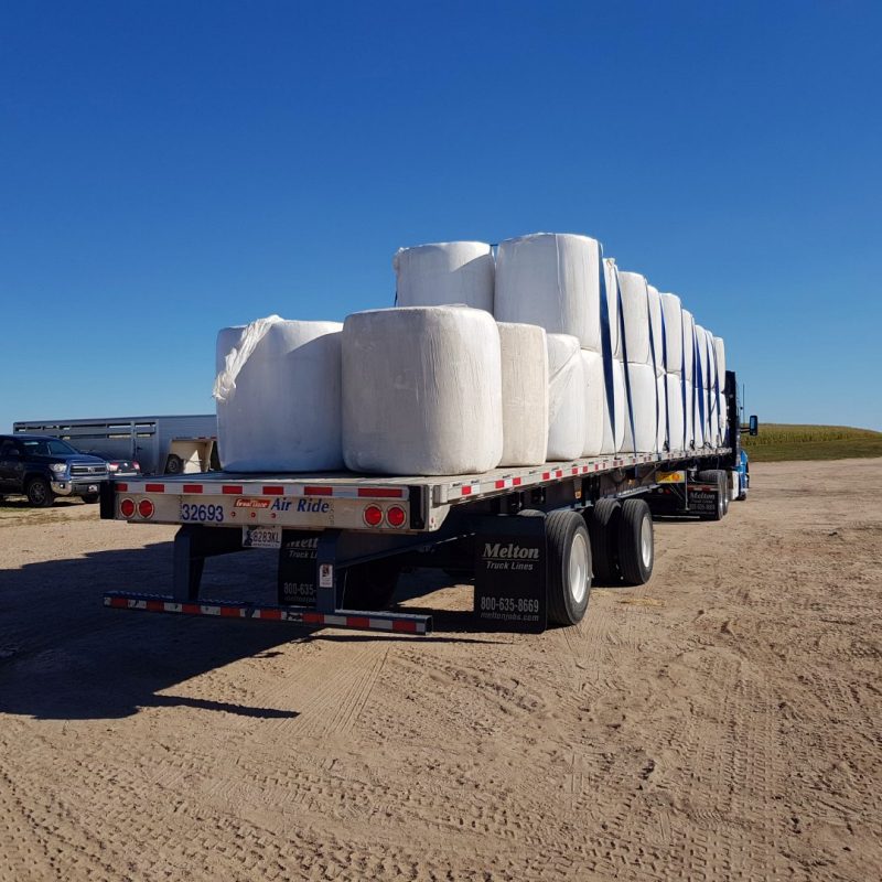 Transport bales on trailer