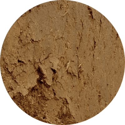 Closeup picture of Chicken manure