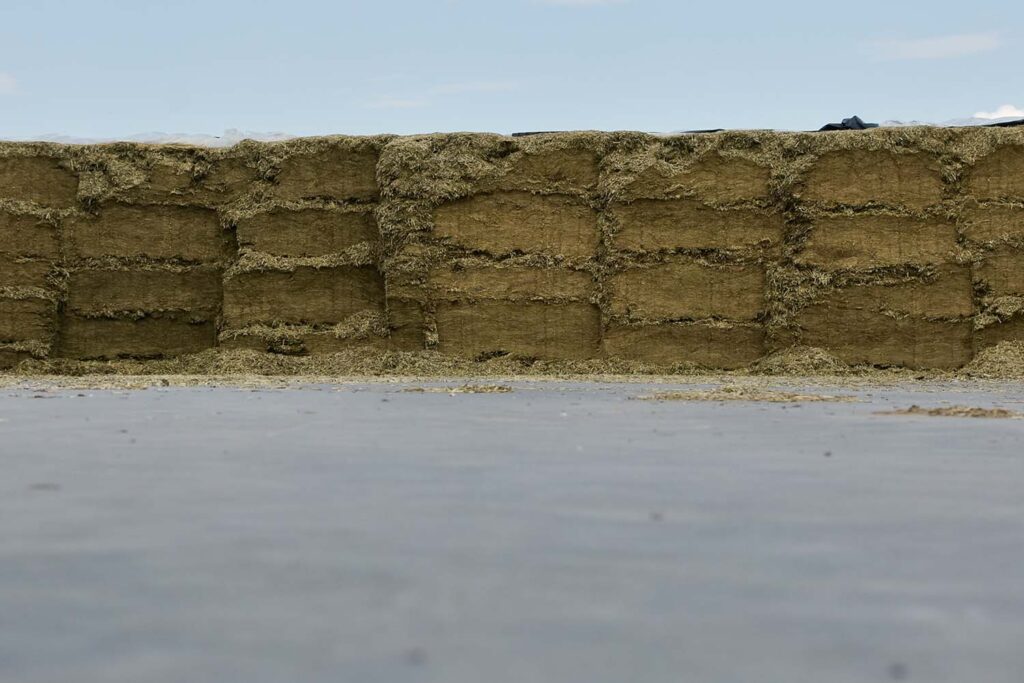 Eine Nahaufnahme eines Flachsilos mit dicht gepackter Silage, die in Schichten gestapelt ist und das verdichtete Futter für Nutztiere zeigt.